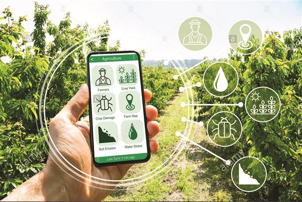 Phát triển các nền tảng số để phục vụ người dân khu vực nông thôn và thúc đẩy phát triển kinh tế - xã hội